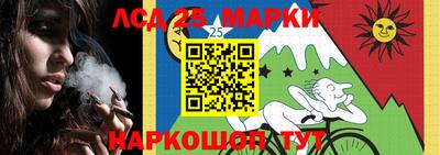 прущие грибы Жуковский