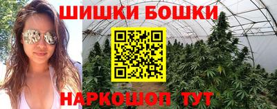 СК Заводоуковск