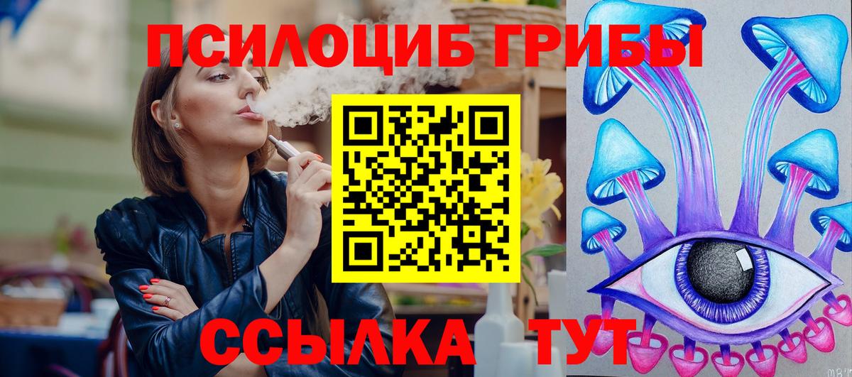 Арсеньев  как найти закладки  Вход с VPN  Псилоцибиновые грибы Psilocybine cubensis 